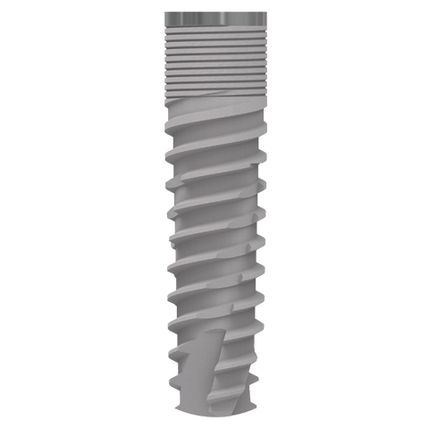 Dentpross Conveyor - Bibliografía Dentpross - Transportador Dentpross