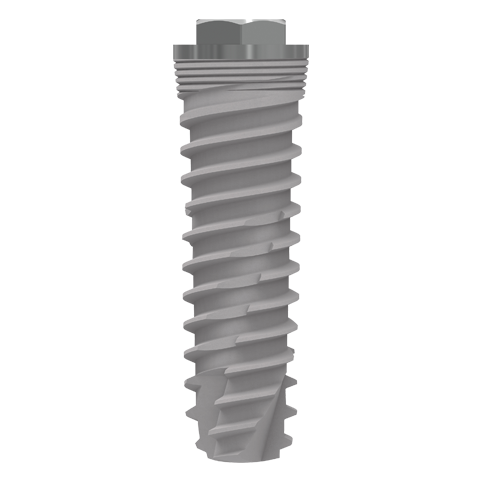 Dentpross Conveyor - Productos Dentpross - Transportador Dentpross