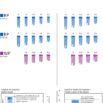 imagen plantillas radiográfica implantes